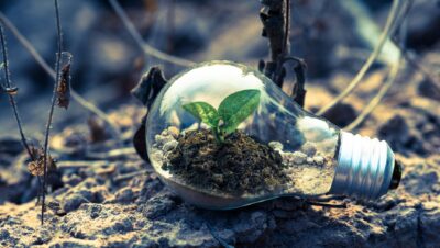 Tecnología y medio ambiente: una lucha entre daños y beneficios ...